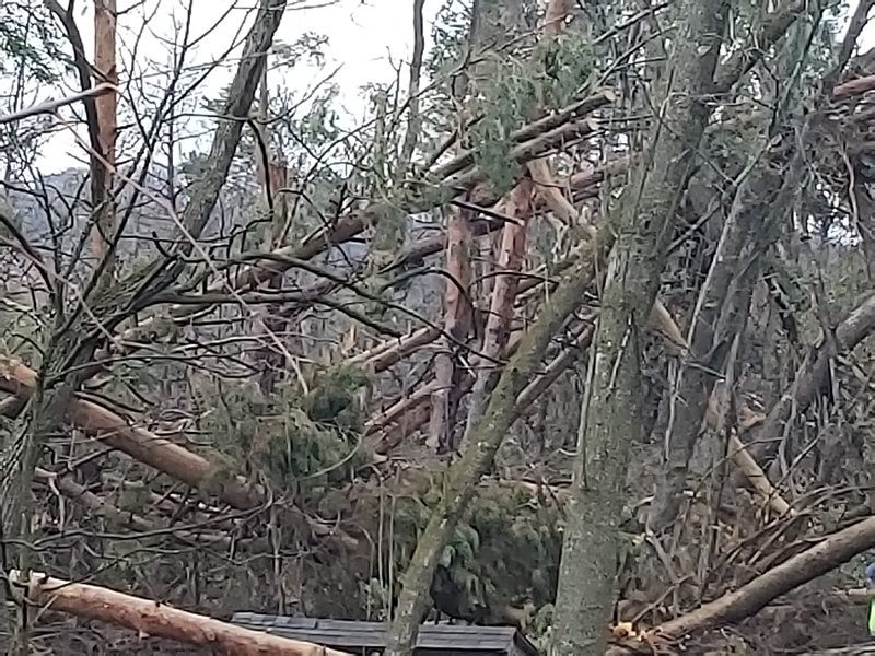 /pictures/Trail Clean Up 2018/20181104_073529.jpg